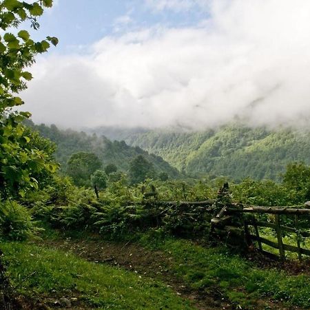 Apto. De Montana La Campa En Felechosa Exteriör bild