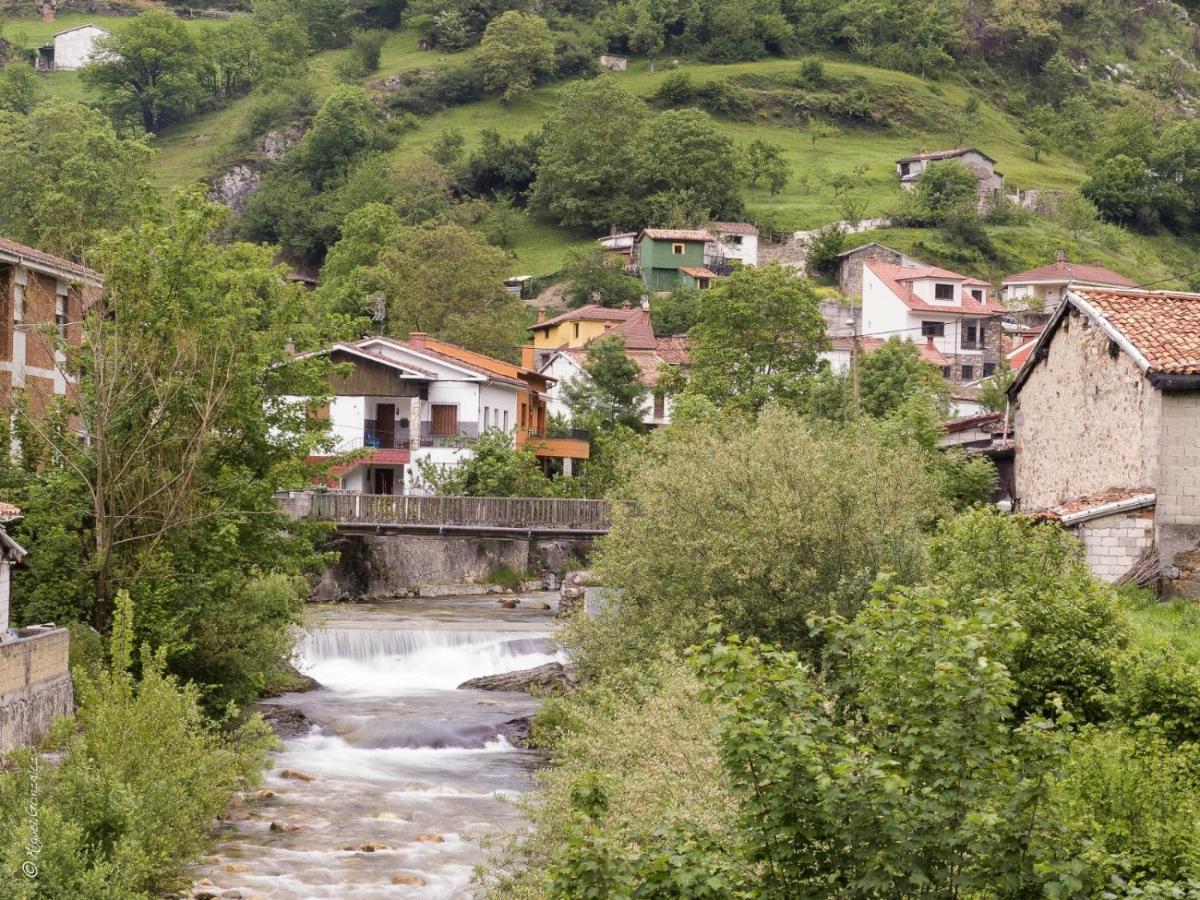 Apto. De Montana La Campa En Felechosa Exteriör bild