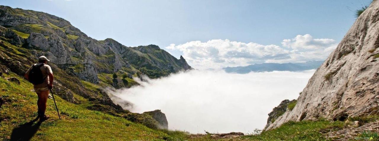 Apto. De Montana La Campa En Felechosa Exteriör bild